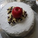 정선초등학교 이미지