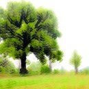 곤지암도자공원 이미지