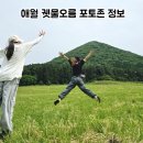 궷물오름 소요시간 포토존 후기 아이들과 다녀온 제주 오름