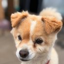 희봉농장 이미지