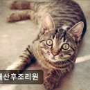 유재산후조리원 이미지