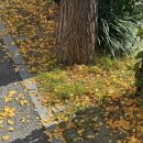 육교노래연습장 이미지