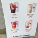매머드익스프레스수서역점