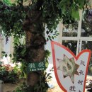 중국 서하구촌(西霞口村) 트레킹 ① : 자연친화적인 신조산 야생동물원(神雕山野生?物?) 이미지