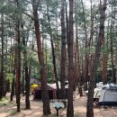 무릉계곡 관리동 이미지