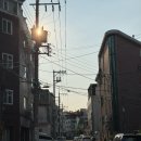 심야식당 기린 | 숨겨진 건대 이자카야, 삼동심야식당 성수점 메뉴 추천과 솔직 후기