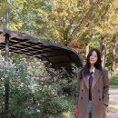 한지혜 카카오 검색결과