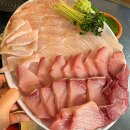 백일도 티스토리