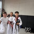 용인대 대륜 태권도 이미지