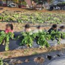 바다의별유치원 이미지