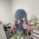 야미케이크