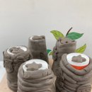 중일초등학교 이미지