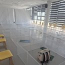 선샤인 반려견 유치원 이미지