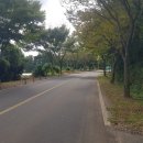 하원동-2 이미지