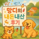 율하4로 | [김해] 율하 골드테라피 탄력관리 써마튠 후기