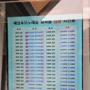 예당호관광지 | 예당호 모노레일 방문 후기 요금 주차 시간표 주말 웨이팅