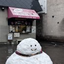 설이네 펫택시 | 오타루 당일치기 여행 일정 공유