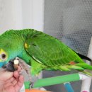 브리더스퀄리티 이미지