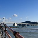 지에스25(GS25) 민락센터점 이미지