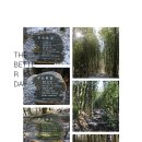 남도삼백리길(3코스) 이미지