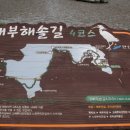 대부도고랫부리섬생태관광마을 이미지