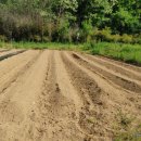 금산흥농 이미지