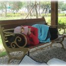 욕지면사무소 이미지