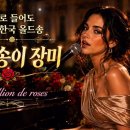샹송으로 듣는 우리 가요 ㅡ Un million de roses / 백만송이 장미 이미지