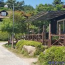용봉산 자연휴양림 티스토리