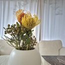 비전동 소로 3-18 | FINESCENT🍃 비전동향수공방파인센트 향수원데이클레스 내돈내산향수만들기