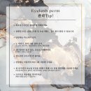 셀린뷰티 - 수원시 팔달구 인계로124번길 9 | 셀린뷰티