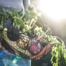 성실식품 이미지