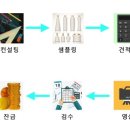 로얄프로세스주