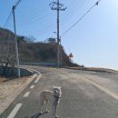 소이작치안센터 Daum카페