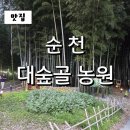 복공인중개사사무소 | 순천 맛집 "대숲골 농원" 닭구이 먹방후기