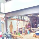 쵸이스안마시술소 이미지