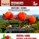 짱언니