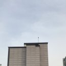 스테이린