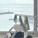 도연이네 민박 이미지