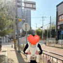 4 in 1 PT | 포그내 맥스 올인원 아기띠(4 in 1) 대전 갤러리아 링크맘 구매 후기