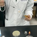병원성 미생물 3종 실습 교육 후기 / 한국식품정보원 3일과정 정리