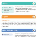 (주)케익드라마