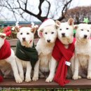 퍼스트환경 이미지