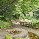 안덕계곡 앞 4 이미지