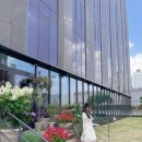 살롱드소울(salon de 소울)