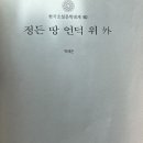 허명치과 네이버블로그