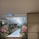 뮤즈결혼정보 | PJ호텔 │ 2027년 상반기 뮤즈홀 투어 및 견적 후기 (+견적공유o)