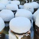 하얀나라깨끗한세상 이미지