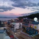 핑크고래 이미지