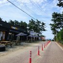 해당화민박 | 몽산포 펜션 1박 조개잡이